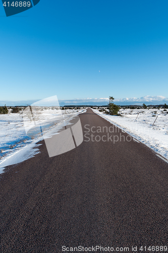 Image of Bare asphalt road through a wintry plain landscape