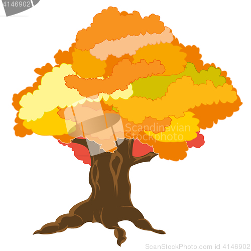 Image of Big tree by autumn