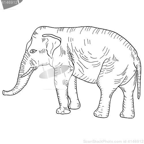 Image of Sketch a large African elephant on white background. illustration
