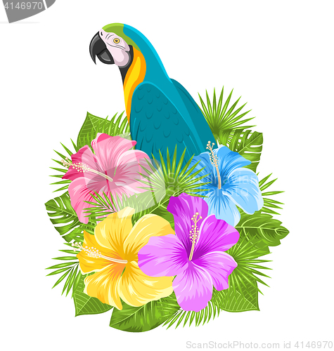 Image of Parrot Ara, Colorful Hibiscus Flowers Blossom and Tropical Leaves