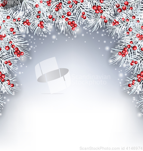 Image of Holiday Background with Silver Fir Twigs and Holly Berries