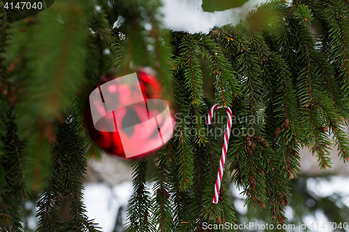 Image of candy cane and christmas ball on fir tree branch