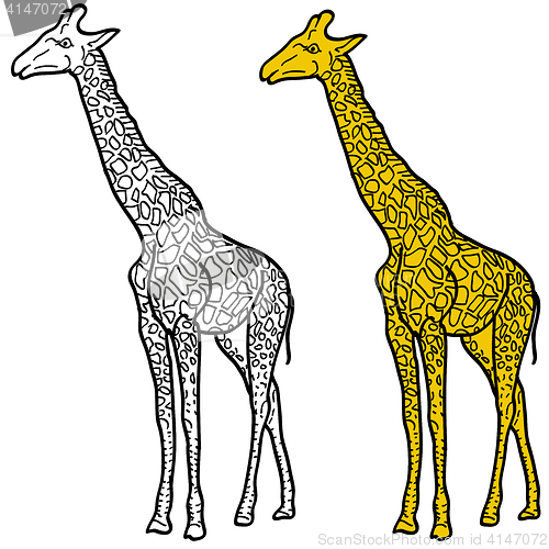 Image of Sketch of a high African giraffe on a white background. illustration