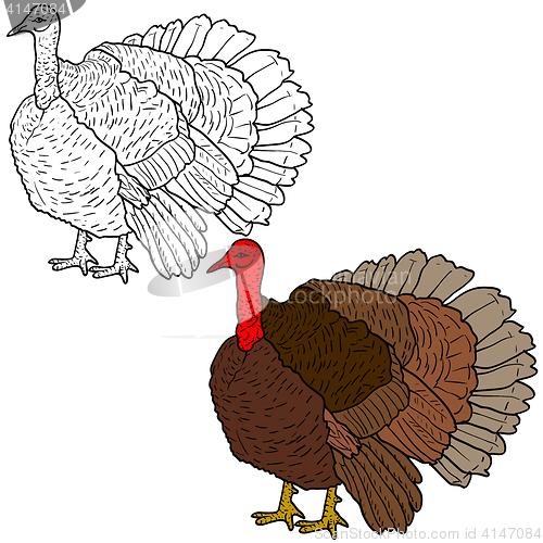 Image of Sketch black turkey on a white background. illustration.