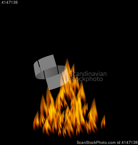 Image of Realistic Fire Flame on Black Background