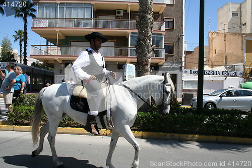 Image of Fiesta in Spain