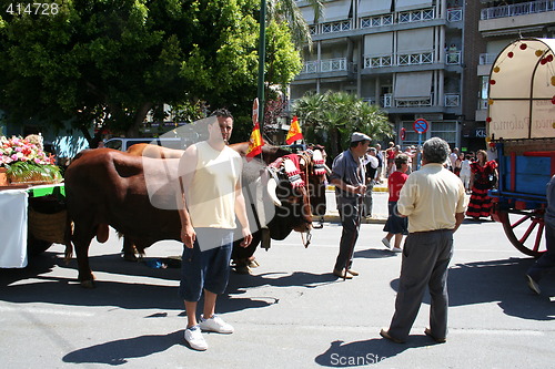 Image of Fiesta in Spain