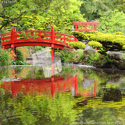 Image of Red bridge in Japanese garden