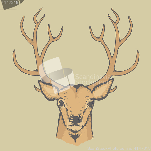 Image of Deer vector illustration