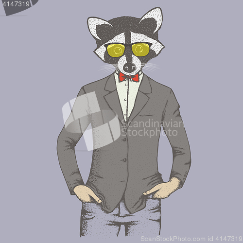 Image of Raccoon vector illustration