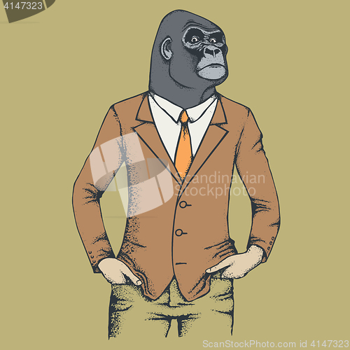 Image of Monkey gorilla vector illustration