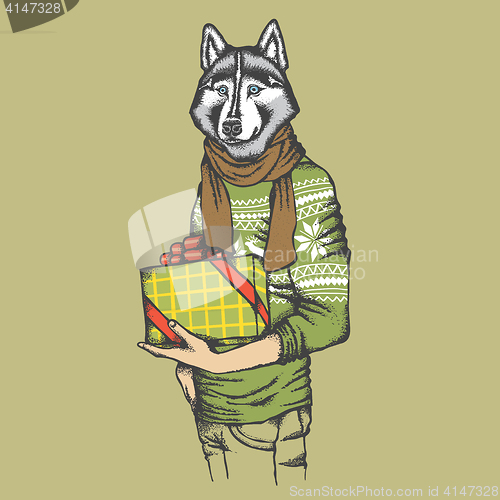 Image of Husky in human sweatshirt with gift