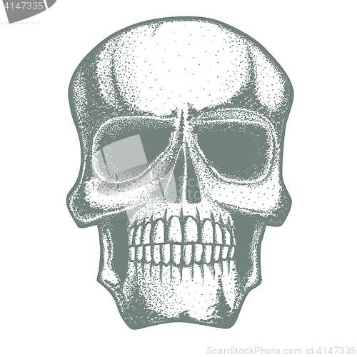 Image of Vector skull illustration