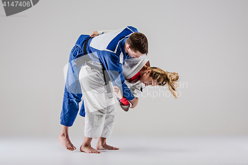 Image of The two judokas fighters posing on gray