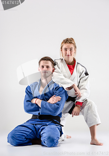 Image of The two judokas fighters posing on gray