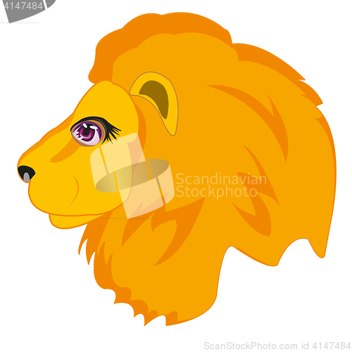 Image of Head animal lion