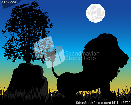 Image of Silhouette lion on nature
