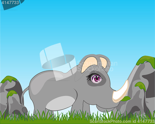 Image of Rhinoceros on glade