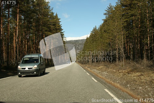 Image of Traffic in the forrest