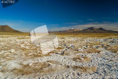 Image of Empty wilderness in Bolivia