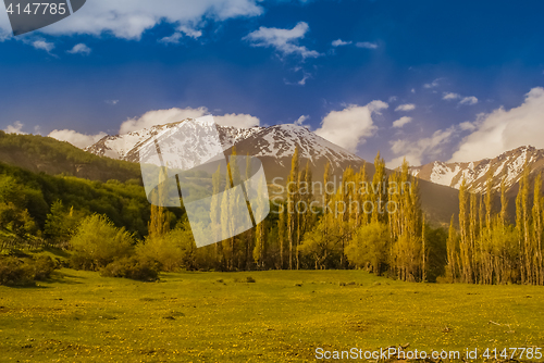 Image of Wilderness in Cerro Castillo