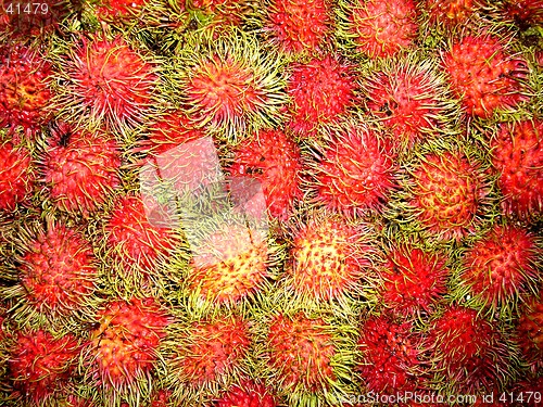 Image of Red fruits