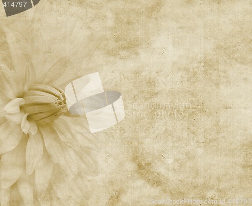 Image of floral paper or parchment