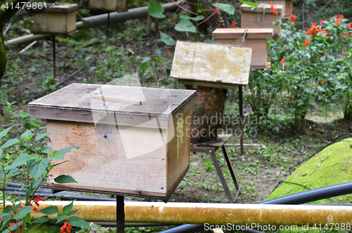 Image of Bee farms located in Cameron Highlands