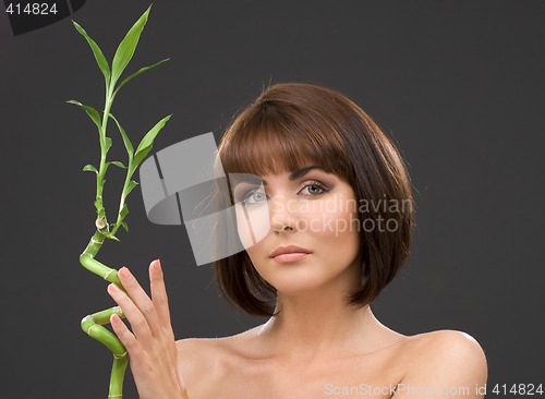 Image of brunette with bamboo over grey