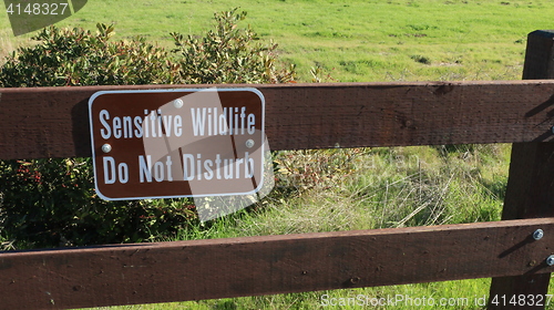 Image of Sensitive wildlife do not disturb