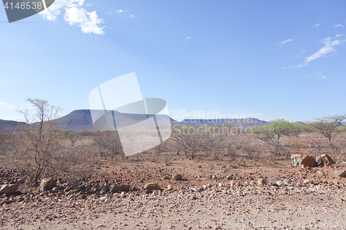 Image of Namibian landscape