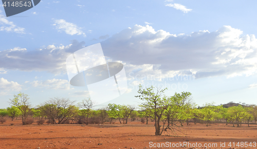 Image of Kalahari