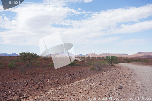 Image of desert road