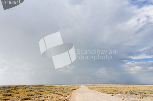 Image of Etosha landscape