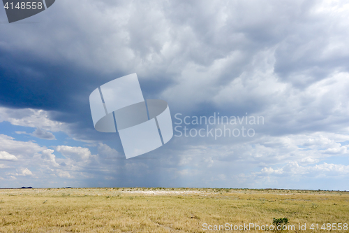 Image of rainy weather