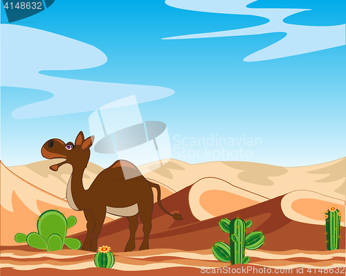 Image of Desert and camel