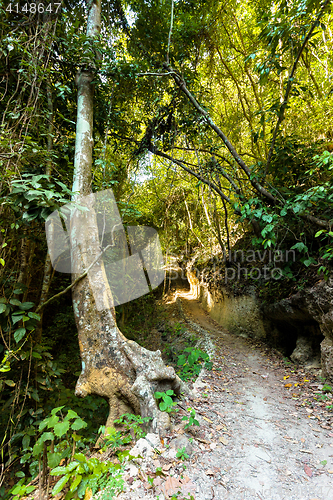 Image of path way , Indonesia, Bali