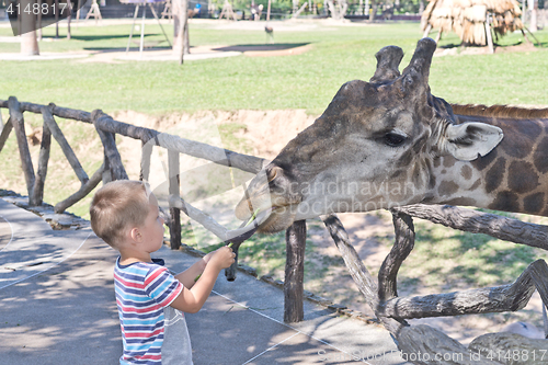 Image of in the Zoo