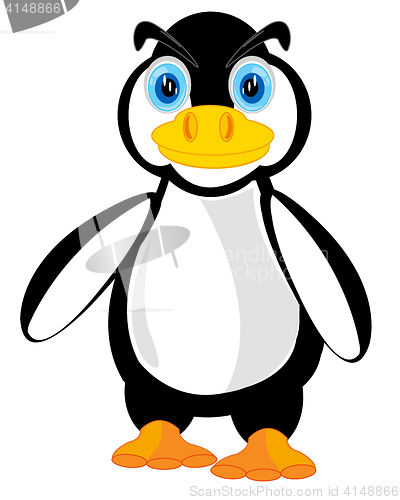 Image of Wildlife penguin on white