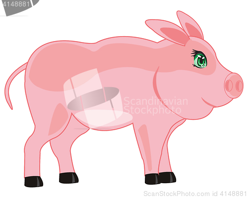 Image of Pets animal pig