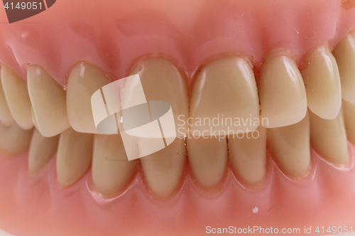 Image of teeth prothesis background