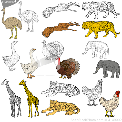 Image of Sketch elephant, tiger, eagle, rooster, giraffe, ostrich, turkey, goose. chicken on a white background. illustration