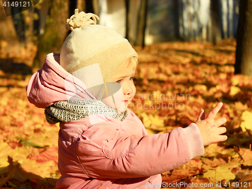 Image of baby plays with Autumn leaves in the park