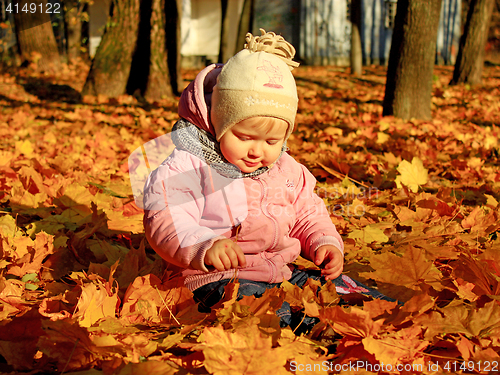 Image of baby plays with Autumn leaves in the park