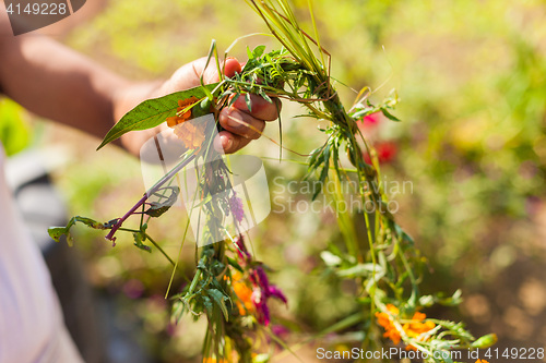 Image of Flower and grass garlands for Tihar in Nepal