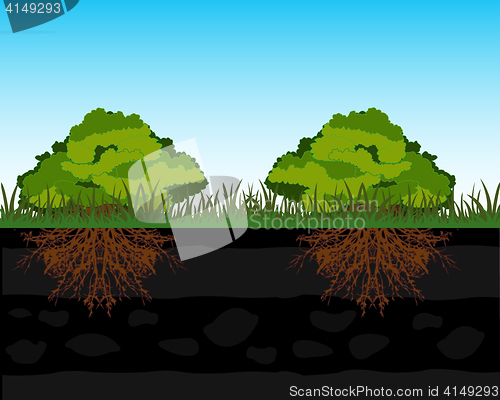 Image of Bushes and root in ground