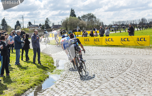 Image of The Peloton - Paris Roubaix 2016