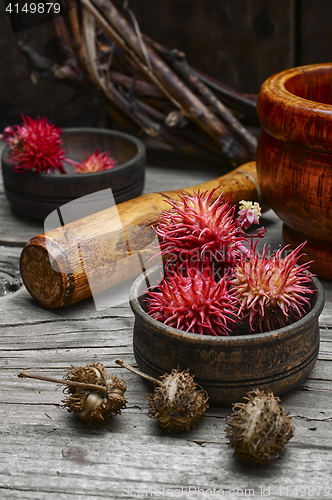 Image of herbs alternative medicine