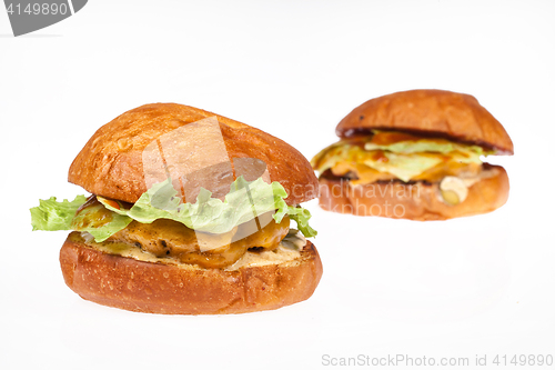 Image of Two Hamburgers On Isolated Background