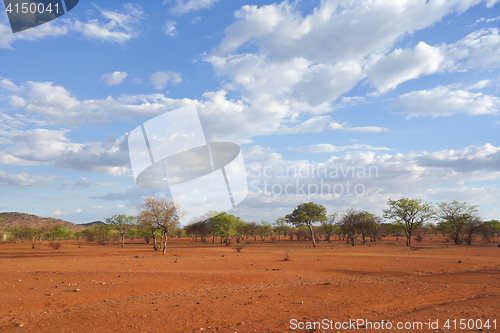 Image of Kalahari